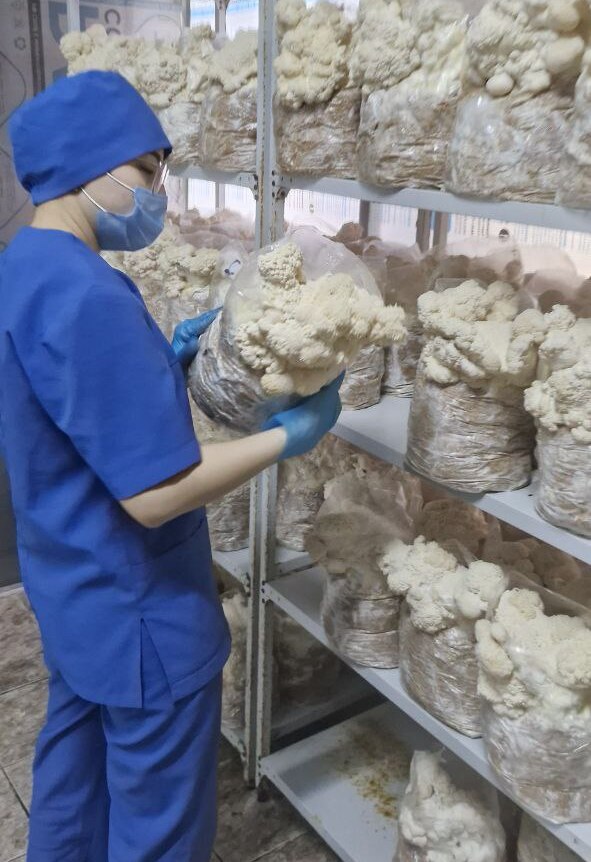 Наша команда