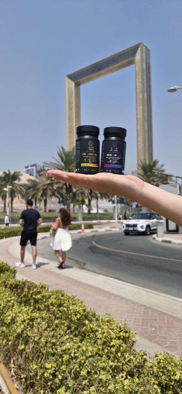 Публичная оферта